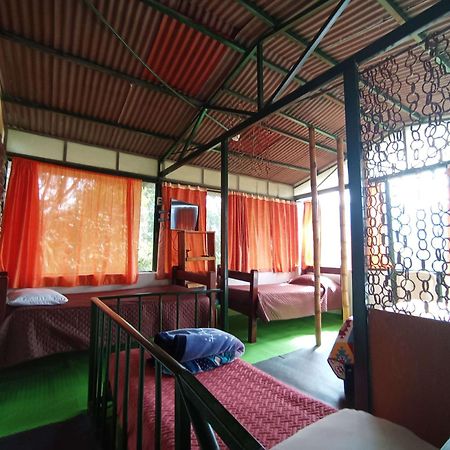 La Cigarra Casa De Huespedes Hotel Salento Ngoại thất bức ảnh