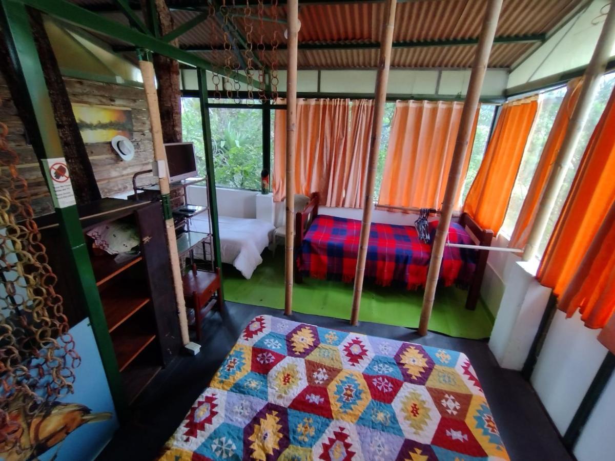 La Cigarra Casa De Huespedes Hotel Salento Ngoại thất bức ảnh