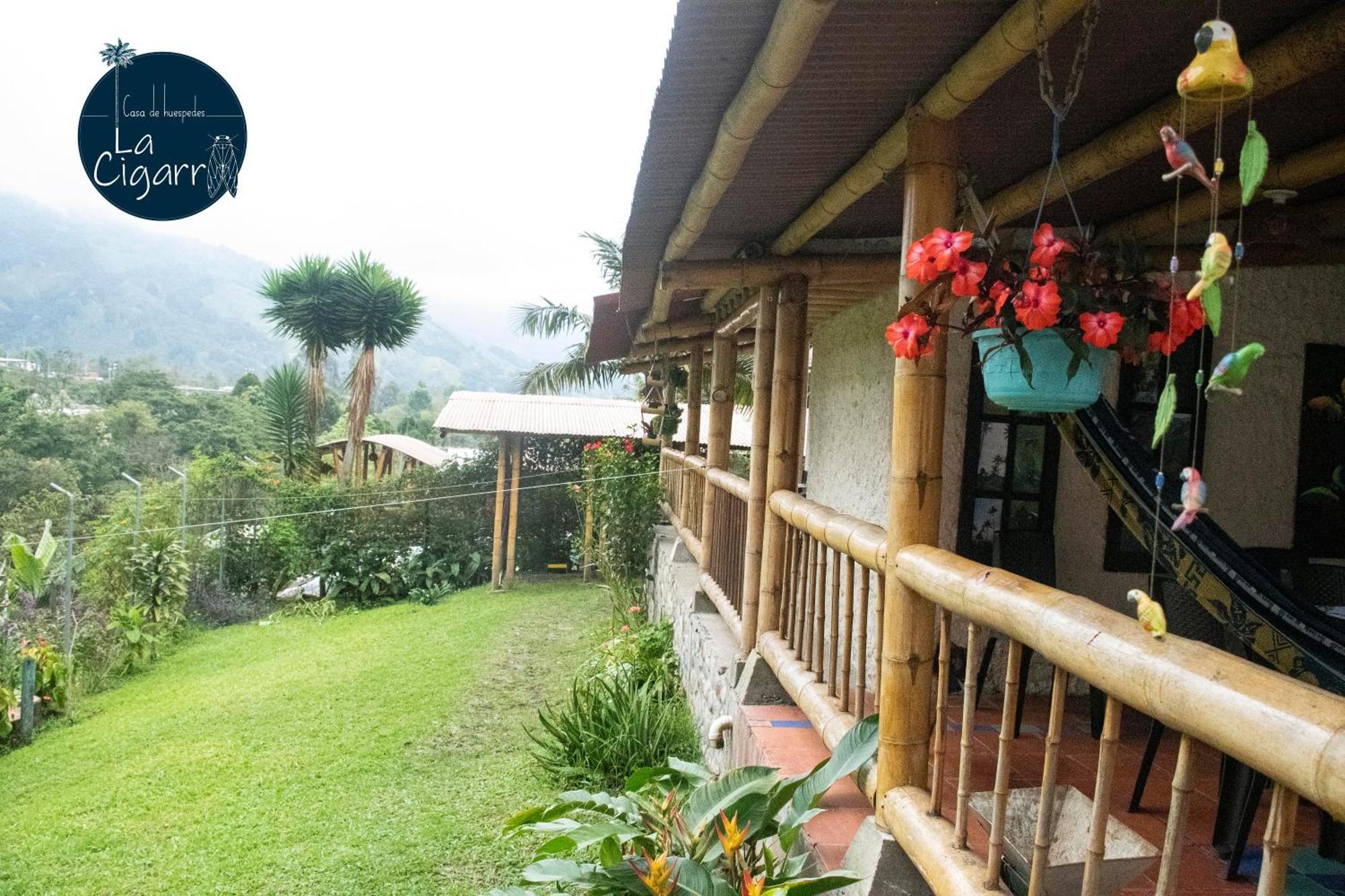 La Cigarra Casa De Huespedes Hotel Salento Ngoại thất bức ảnh