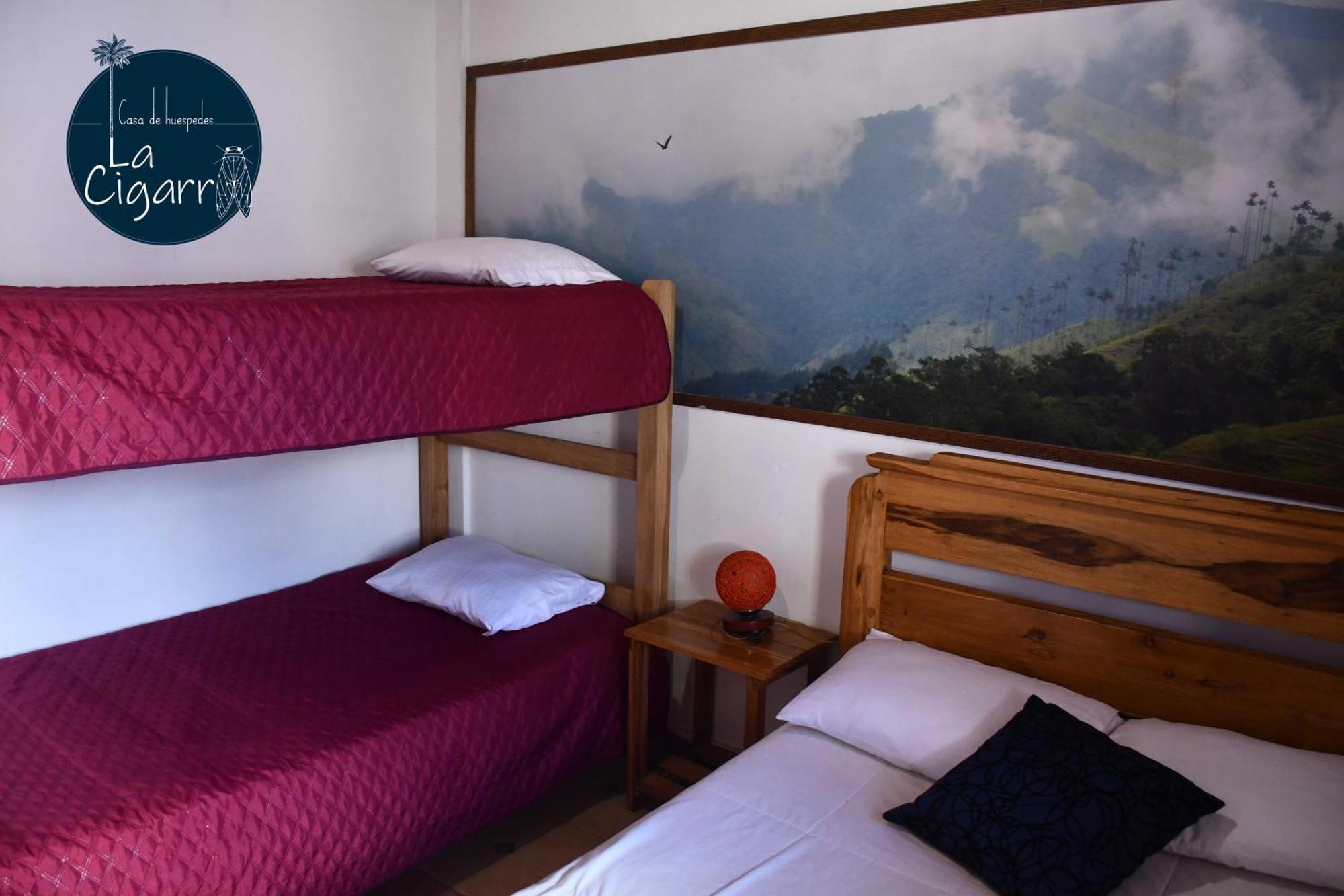 La Cigarra Casa De Huespedes Hotel Salento Ngoại thất bức ảnh