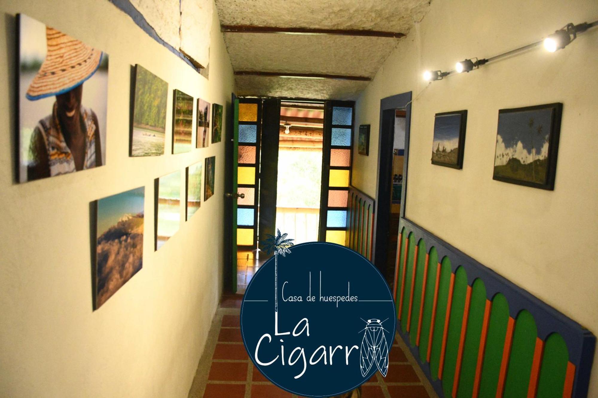 La Cigarra Casa De Huespedes Hotel Salento Ngoại thất bức ảnh